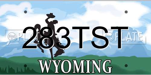 283TST Wyoming License Plate