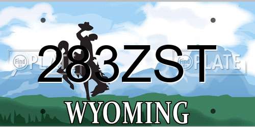 283ZST Wyoming License Plate