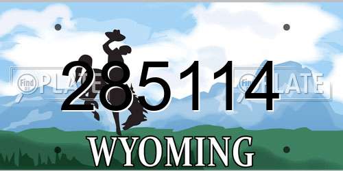 285114 Wyoming License Plate