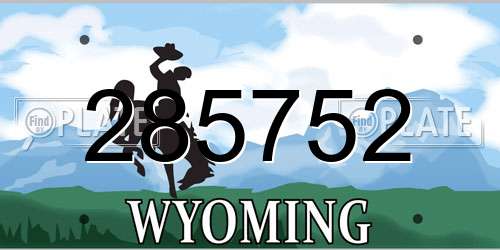 285752 Wyoming License Plate