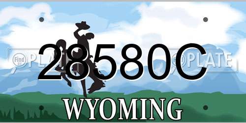 28580C Wyoming License Plate