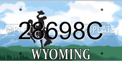 28698C Wyoming License Plate