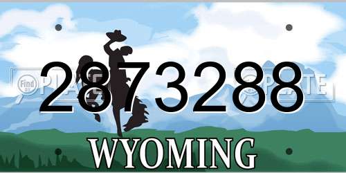 2873288 Wyoming License Plate