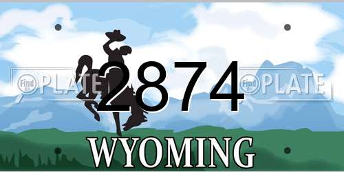 2874 Wyoming License Plate