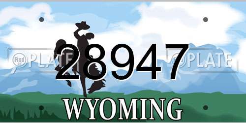 28947 Wyoming License Plate