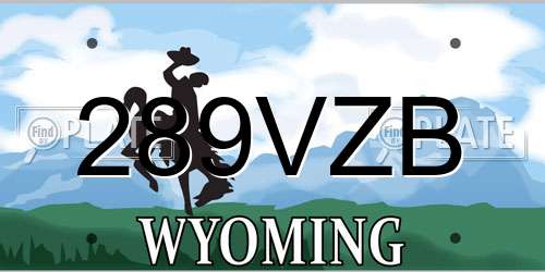 289VZB Wyoming License Plate