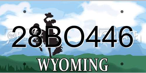 28BO446 Wyoming License Plate