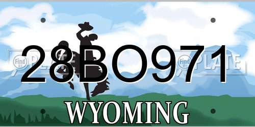 28BO971 Wyoming License Plate