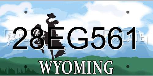 28EG561 Wyoming License Plate