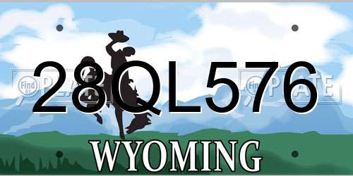 28QL576 Wyoming License Plate