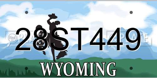 28ST449 Wyoming License Plate