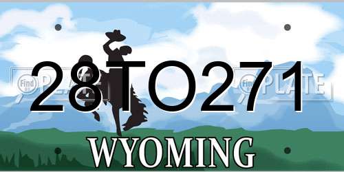 28TO271 Wyoming License Plate