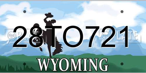 28TO721 Wyoming License Plate