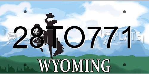 28TO771 Wyoming License Plate