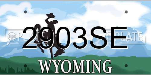 2903SE Wyoming License Plate