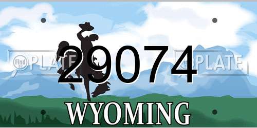 29074 Wyoming License Plate