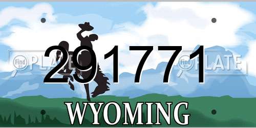 291771 Wyoming License Plate