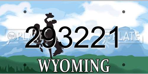 293221 Wyoming License Plate