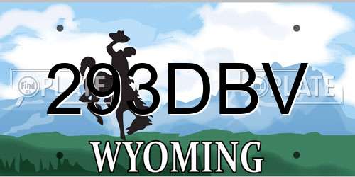 293DBV Wyoming License Plate