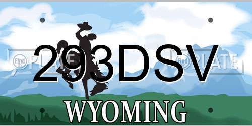 293DSV Wyoming License Plate