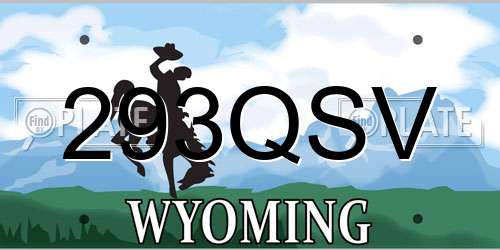 293QSV Wyoming License Plate