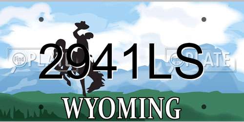 2941LS Wyoming License Plate