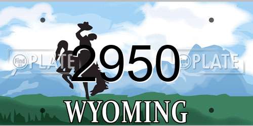 2950 Wyoming License Plate