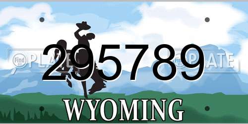 295789 Wyoming License Plate