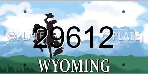 29612 Wyoming License Plate