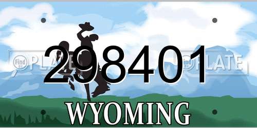 298401 Wyoming License Plate