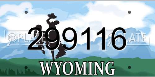 299116 Wyoming License Plate