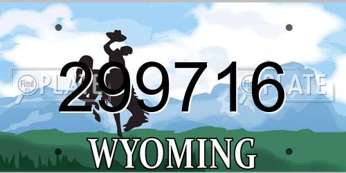 299716 Wyoming License Plate