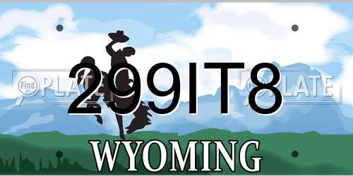 299IT8 Wyoming License Plate