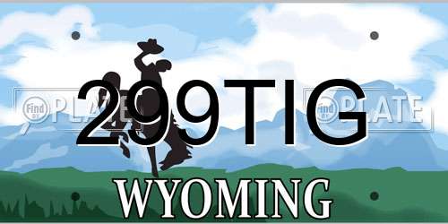 299TIG Wyoming License Plate