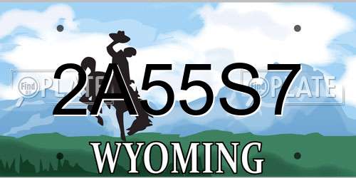 2A55S7 Wyoming License Plate