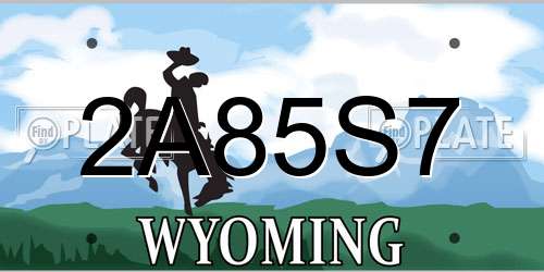 2A85S7 Wyoming License Plate