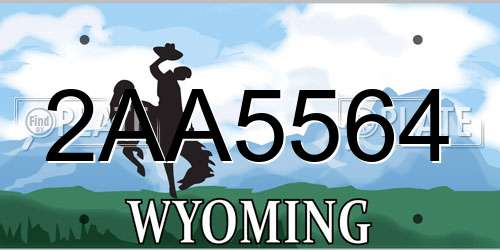 2AA5564 Wyoming License Plate