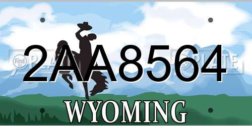 2AA8564 Wyoming License Plate