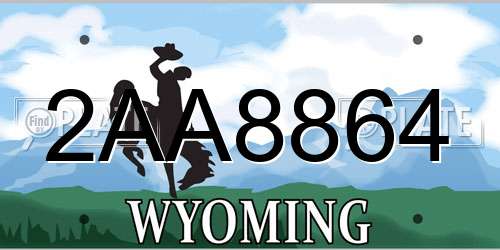 2AA8864 Wyoming License Plate