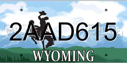 2AAD615 Wyoming License Plate