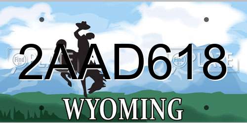 2AAD618 Wyoming License Plate