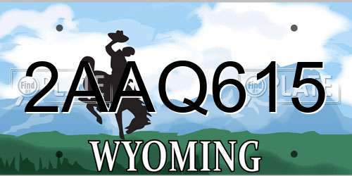 2AAQ615 Wyoming License Plate