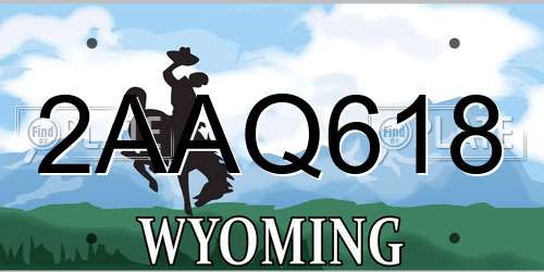 2AAQ618 Wyoming License Plate