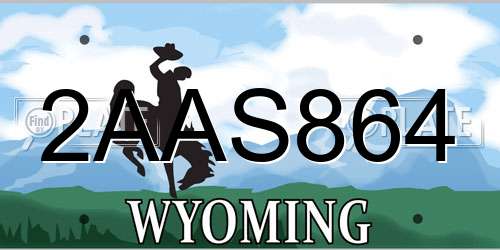 2AAS864 Wyoming License Plate
