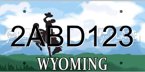 2ABD123 Wyoming License Plate