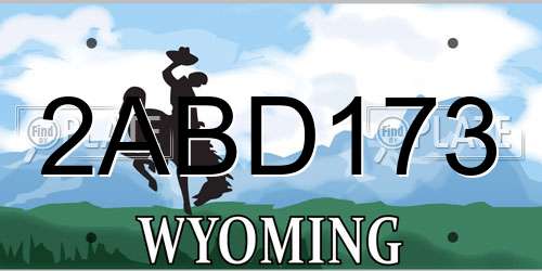 2ABD173 Wyoming License Plate