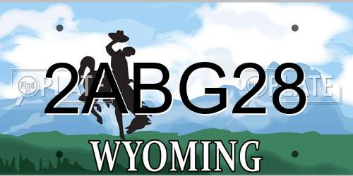 2ABG28 Wyoming License Plate