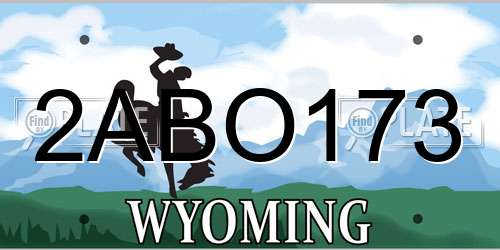2ABO173 Wyoming License Plate