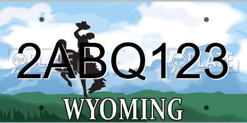 2ABQ123 Wyoming License Plate