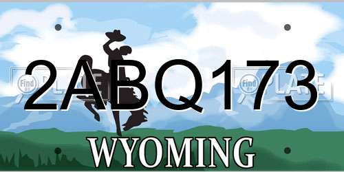 2ABQ173 Wyoming License Plate